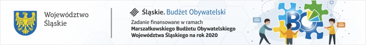bo-2020-baner-728-90px.jpg (41 KB)